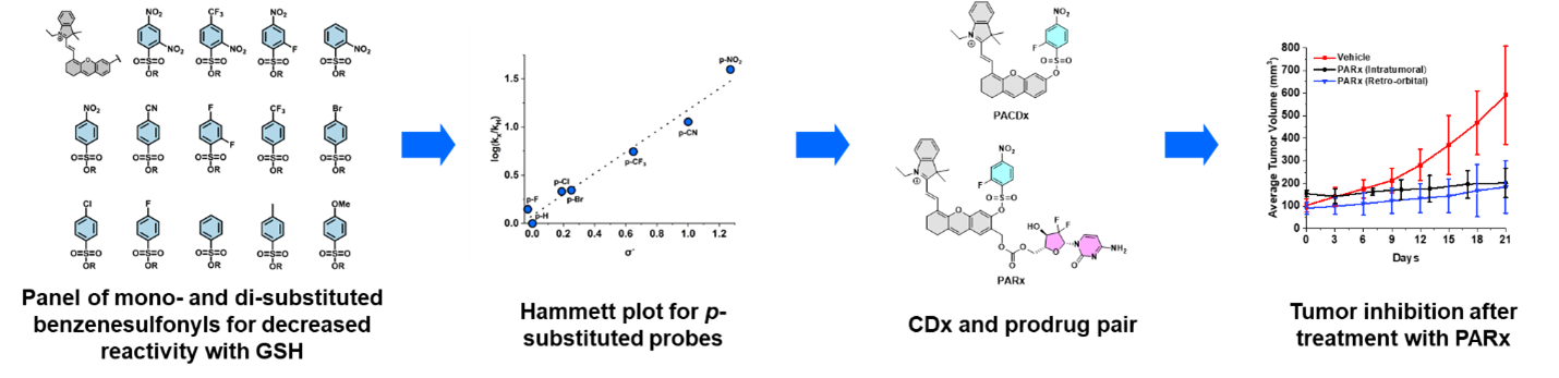 Development of a photoacoustic imaging-based companion diagnostic and prodrug pair for lung cancer in murine models
