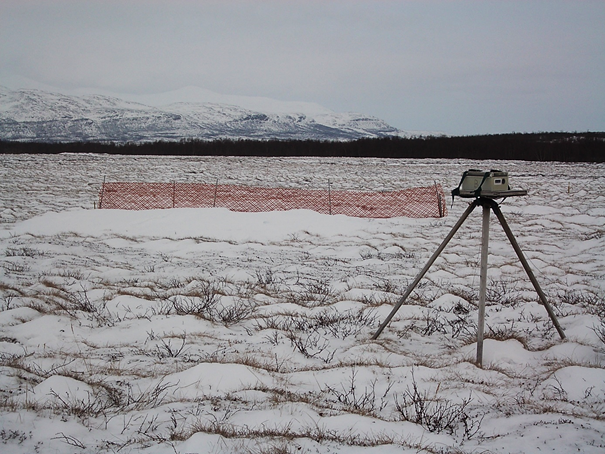 The rise of the Arctic