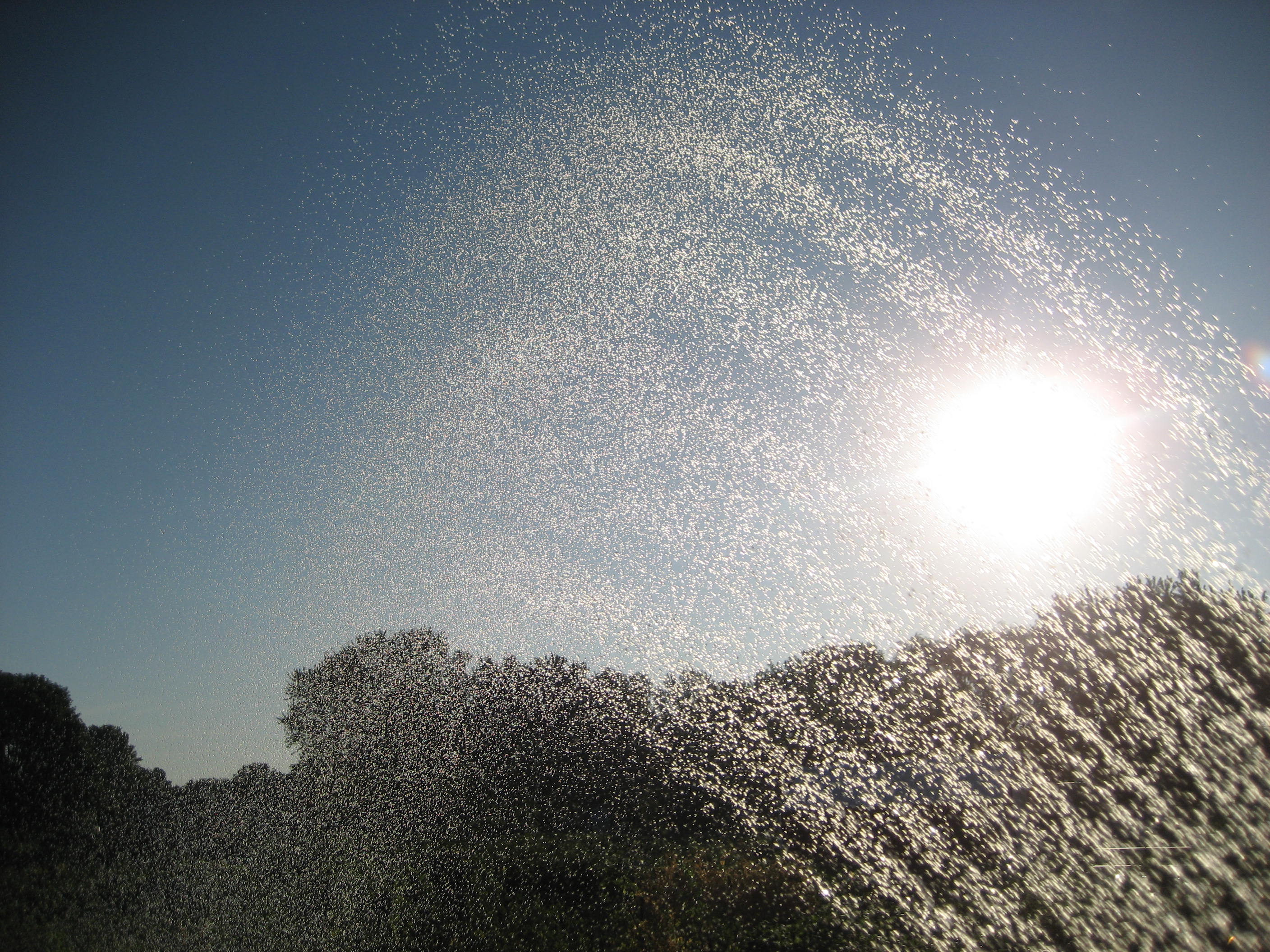 Drivers of water-use changes