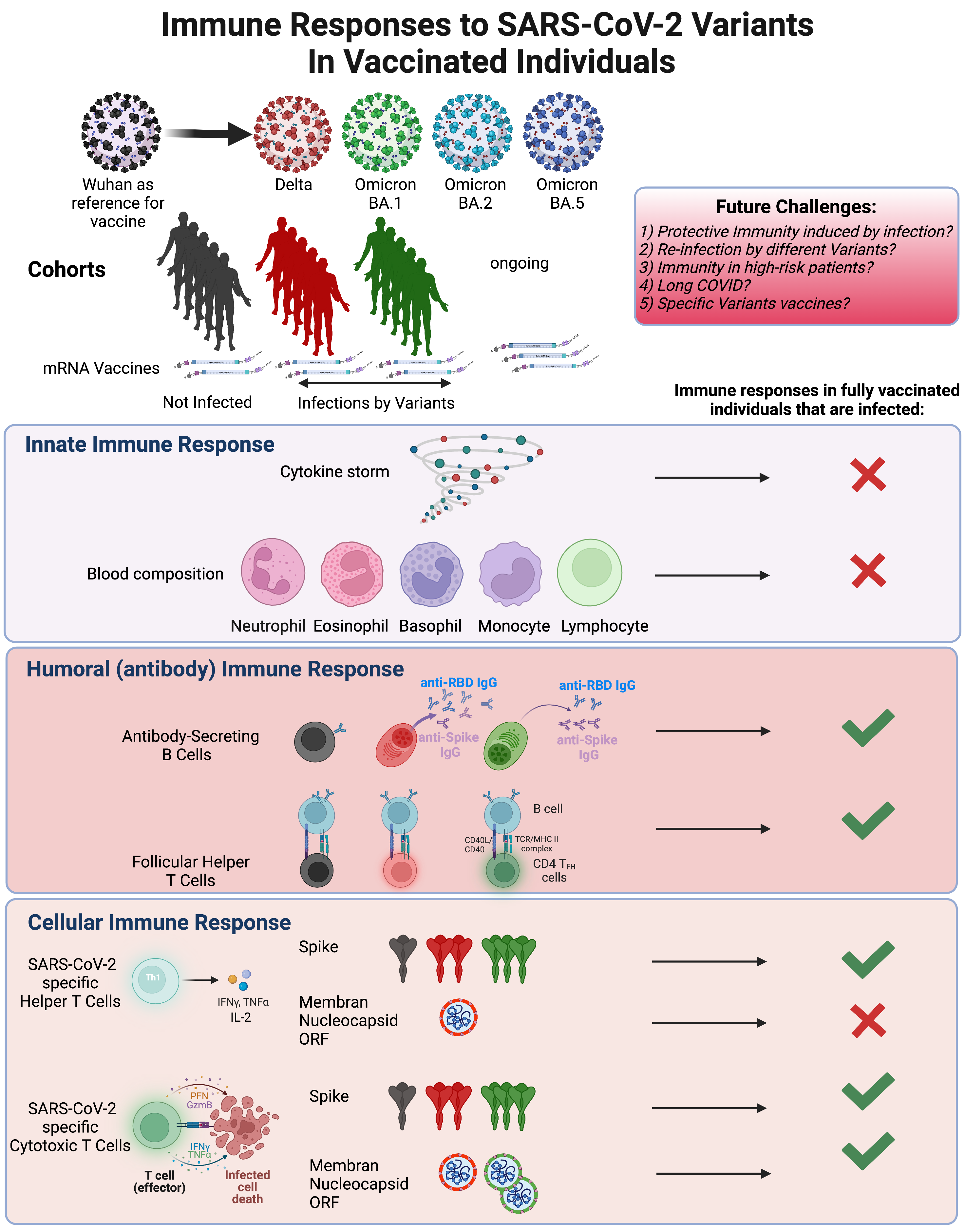 COVID-19 vaccines and new variants of concern, the end (of the pandemic) is the beginning