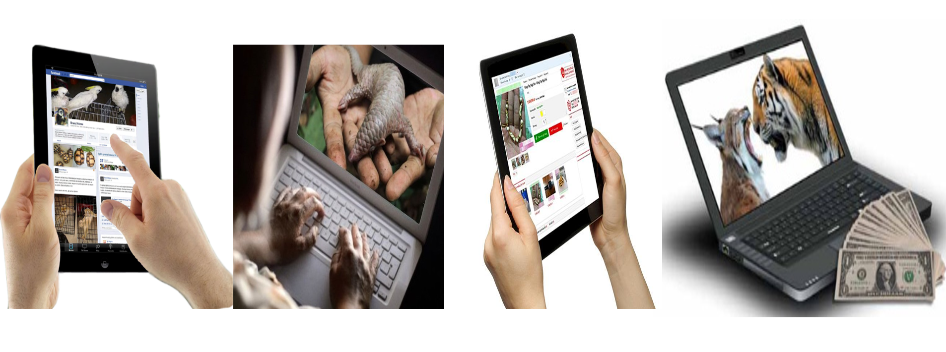 Combating Illegal Wildlife Trade on Digital Landscape