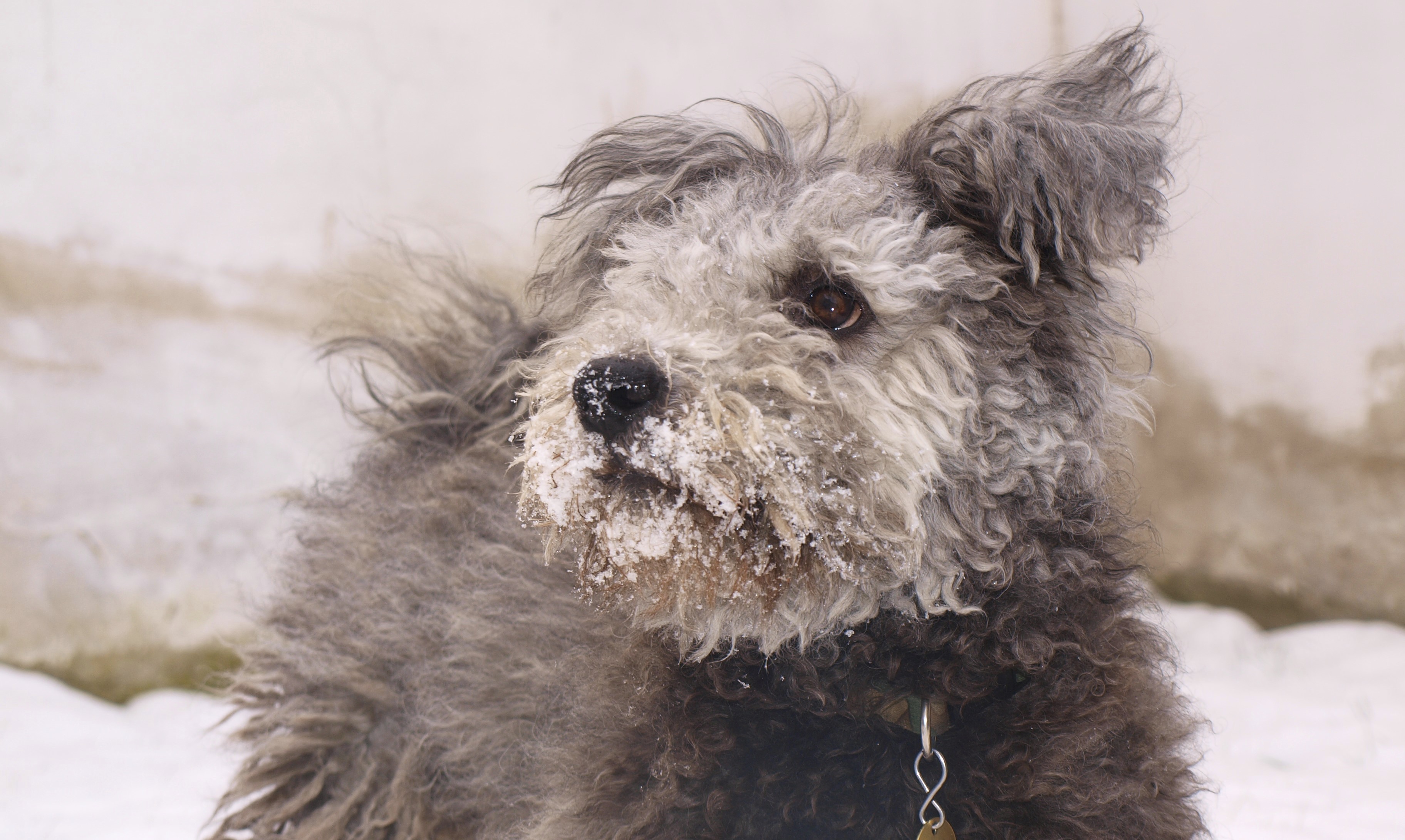 Our journey to finding reliable methods for microbiome profiling