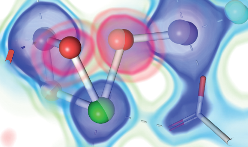 Special Issue: "Visions of bio-inorganic chemistry: metals and the molecules of life."