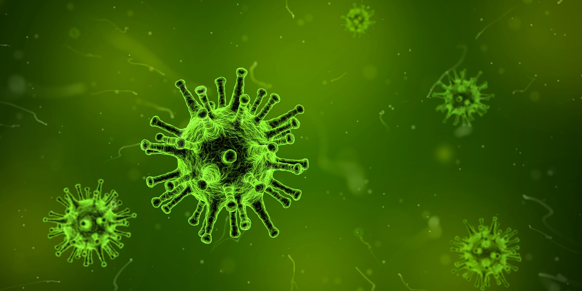 Centenary of 1918 Influenza Pandemic | Snapshot: Keiji Fukuda