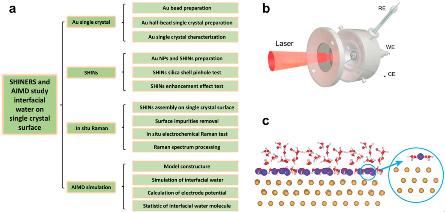 In situ electrochemical Raman spectroscopy and ab initio molecular dynamics study of interfacial water on a single crystal surface