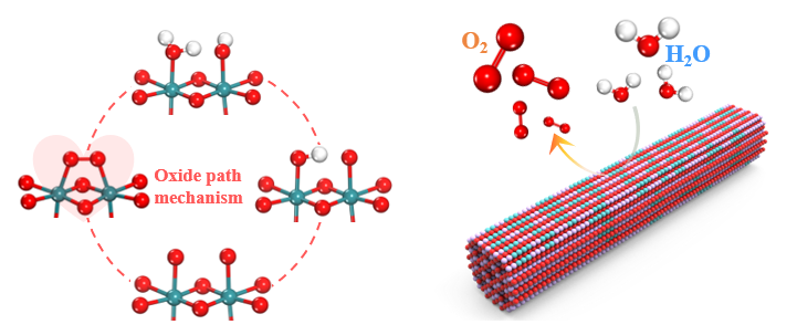 In-situ reconstructed Ru atom array on MnO2 for acidic oxygen evolution reaction