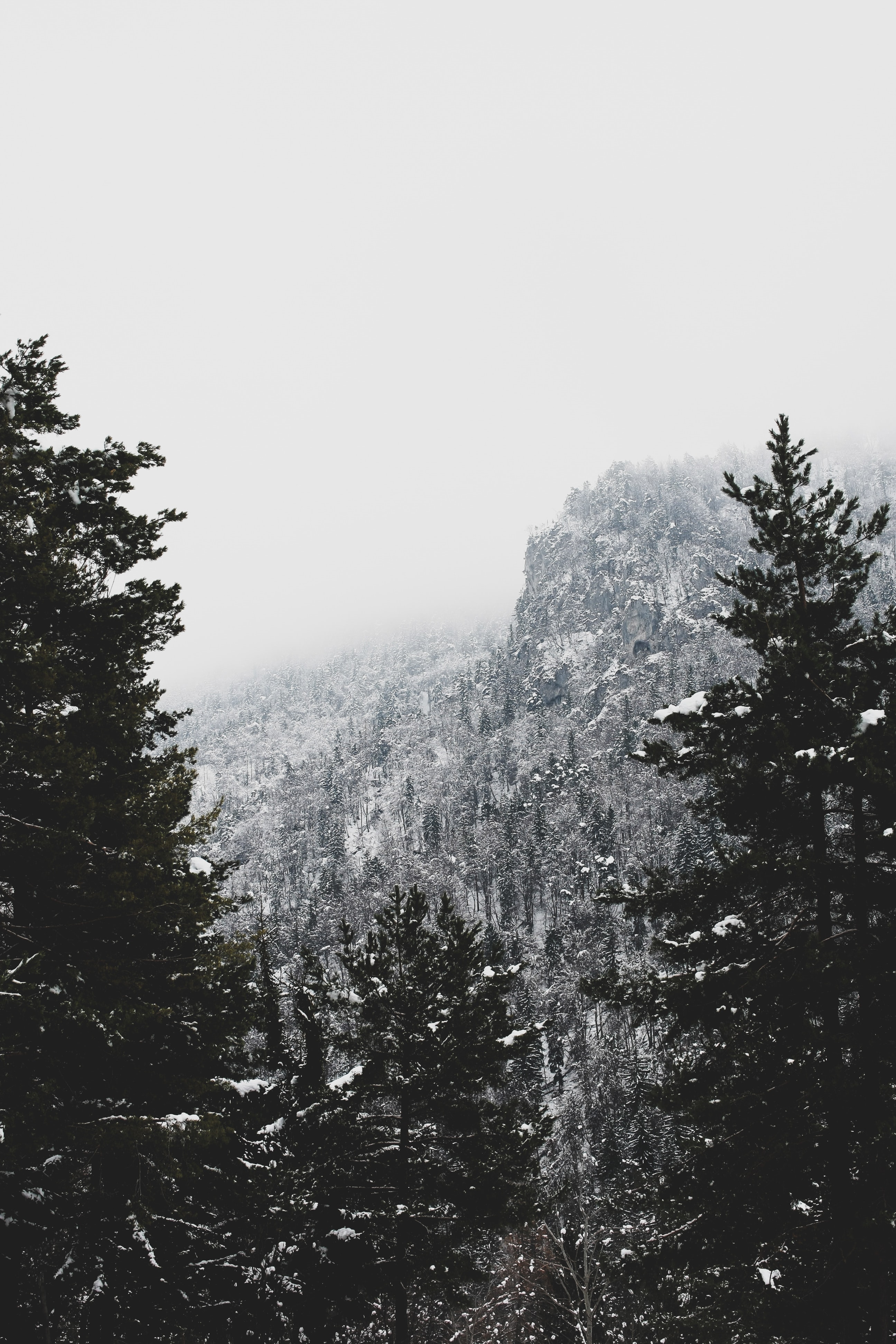 Cold and Vulnerable