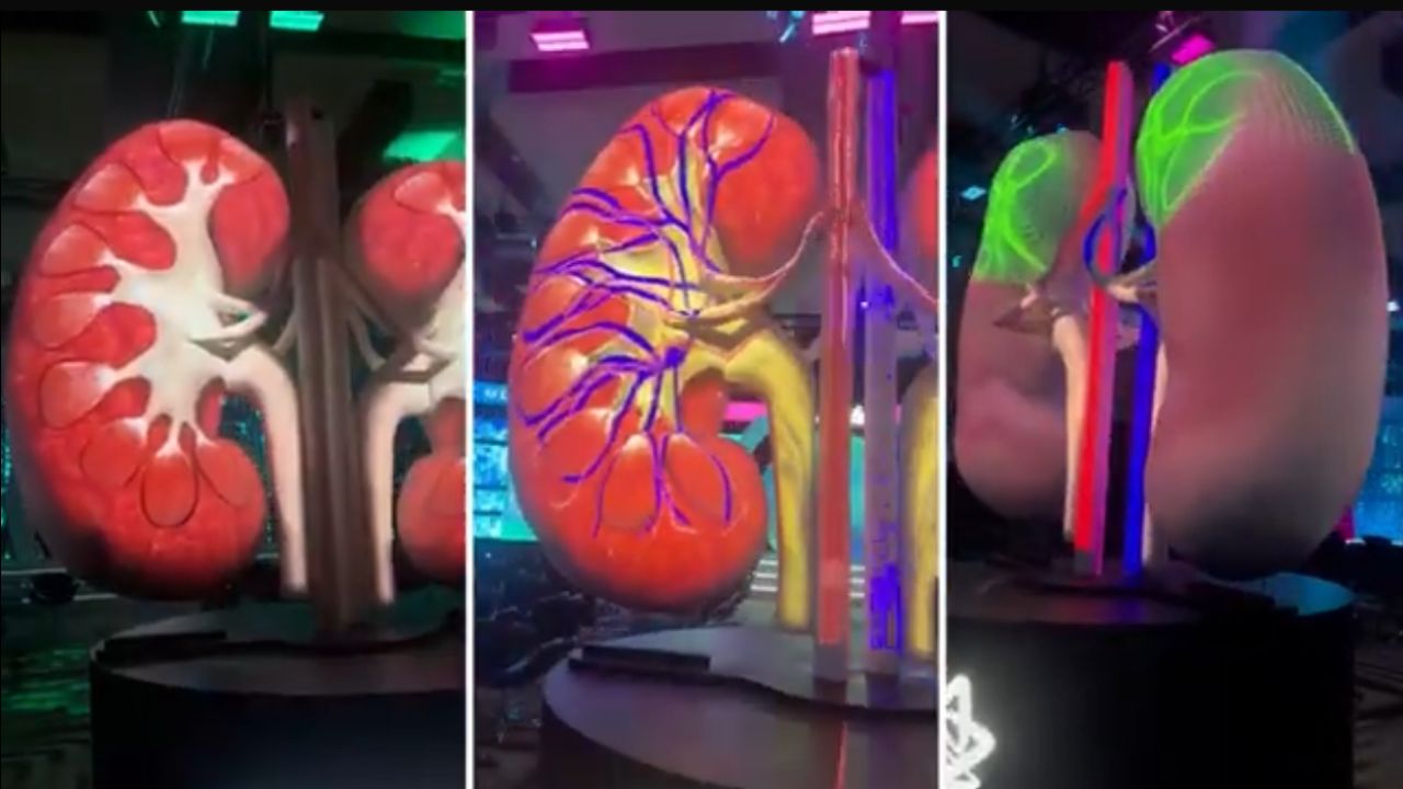 Projeção mapeada 360°