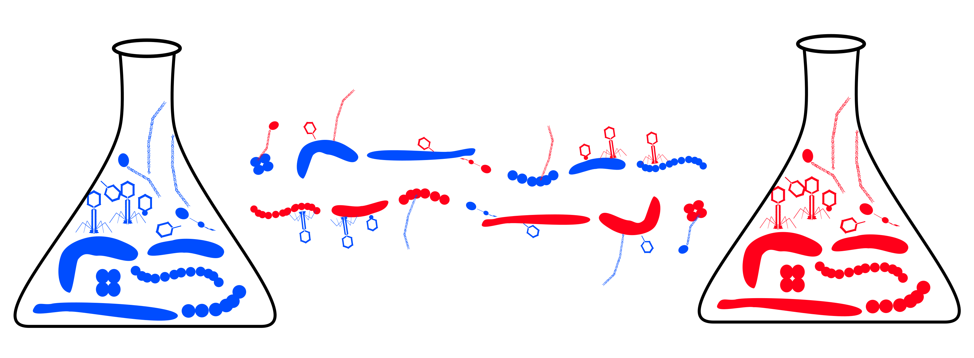 Defining the human gut host–phage network through single-cell viral tagging