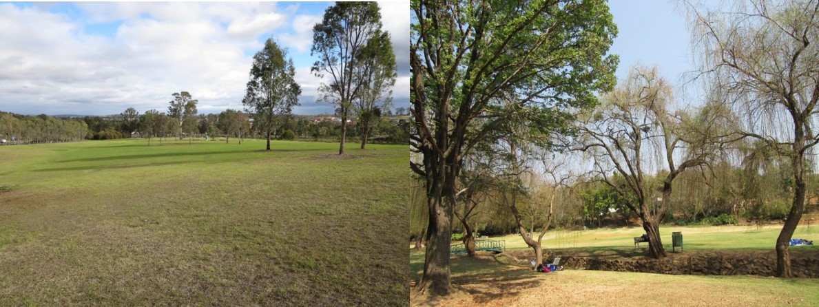 Soil biodiversity is key for the maintenance of city parks and gardens