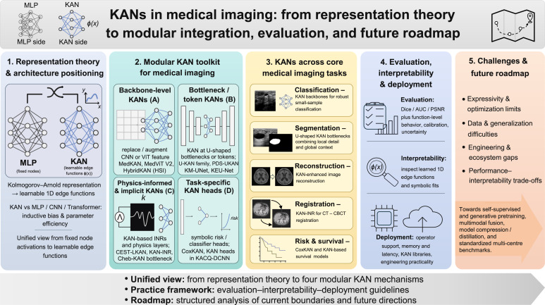 Kolmogorov–Arnold Networks for Medical Imaging: What Does the Evidence Actually Show?