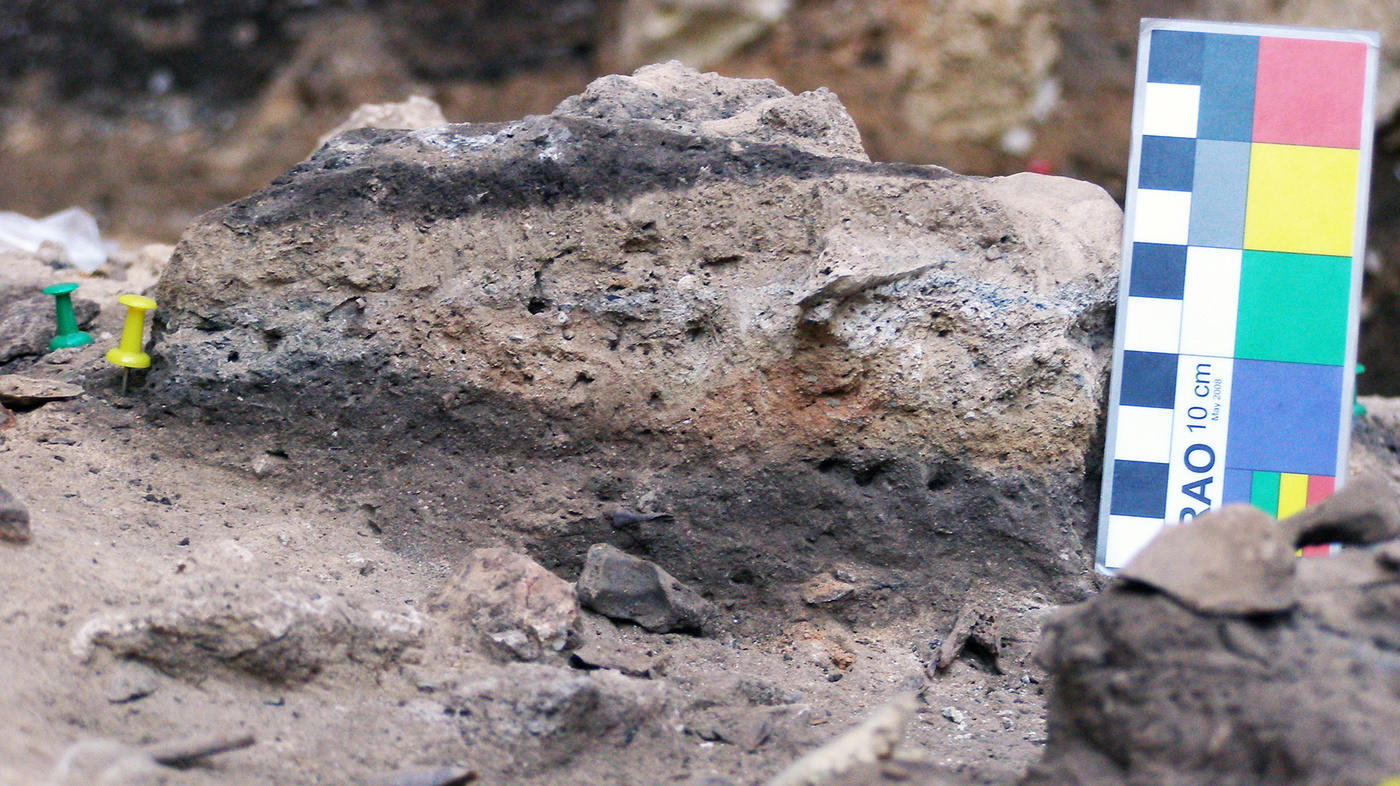 Neanderthal feces on fire illuminates gut microbiome features