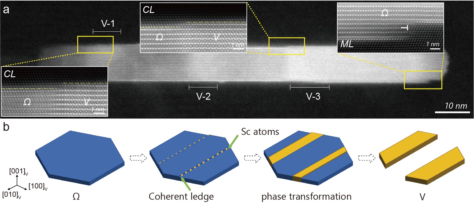 Highly stable coherent nanoprecipitates via diffusion-dominated solute uptake and interstitial ordering 