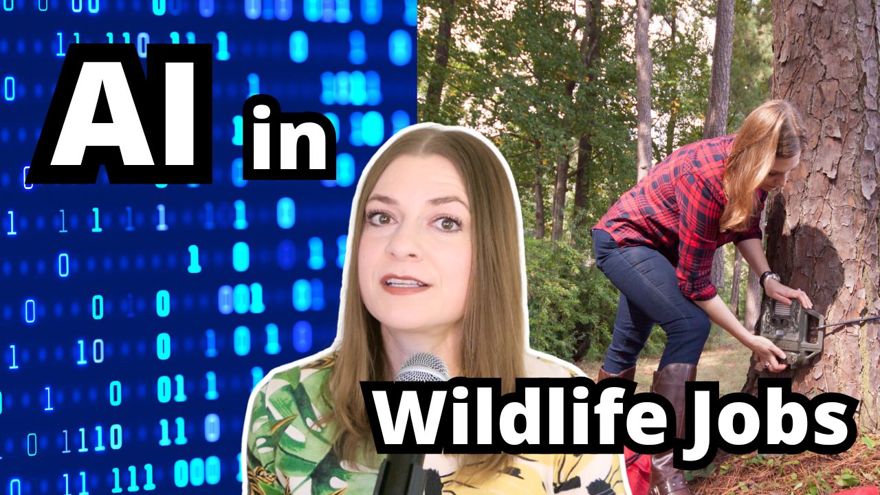 Don't Shoot the Messenger: Navigating AI in Wildlife Conservation Work