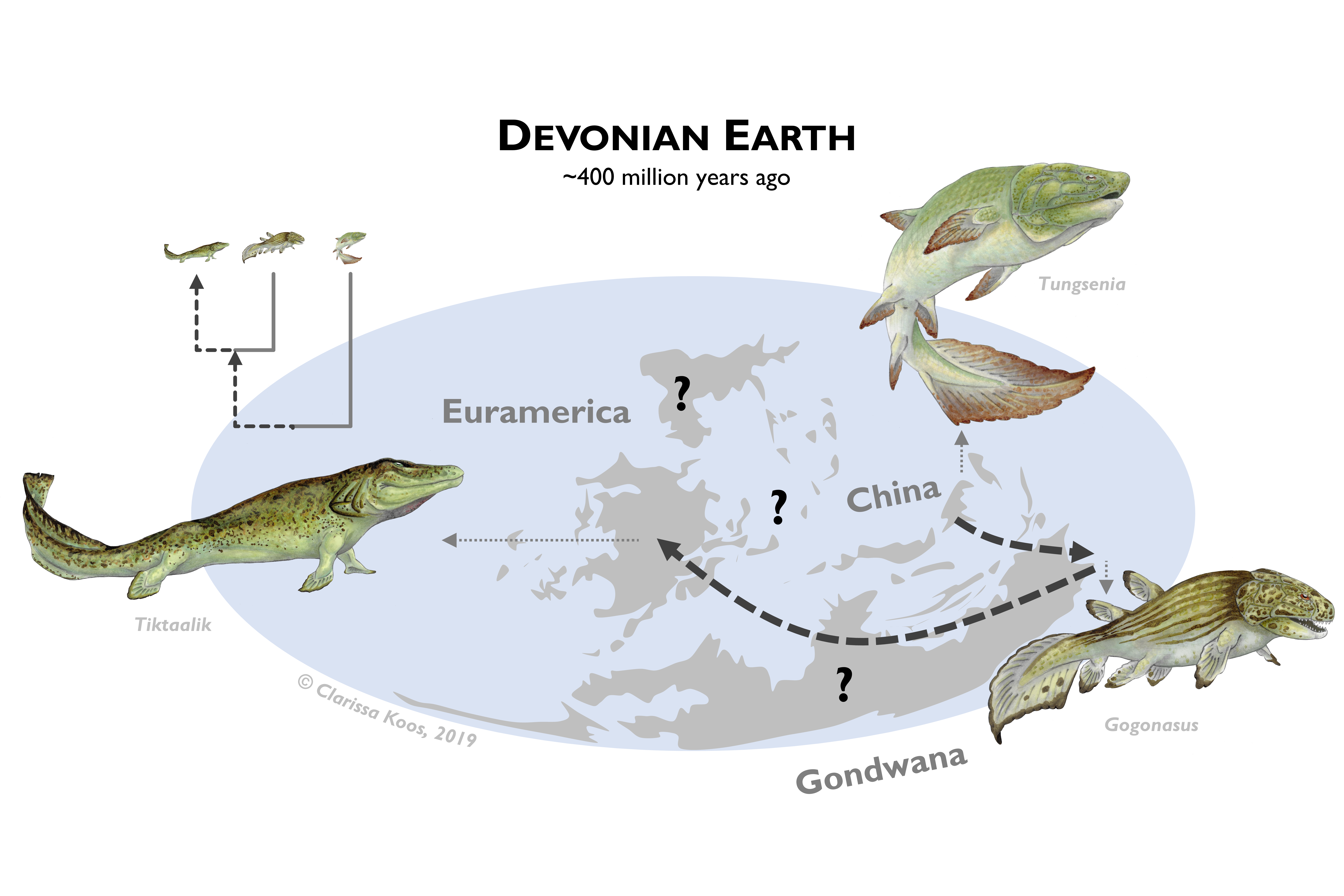 Geographic Dispersal across the Tetrapod Water-Land Transition
