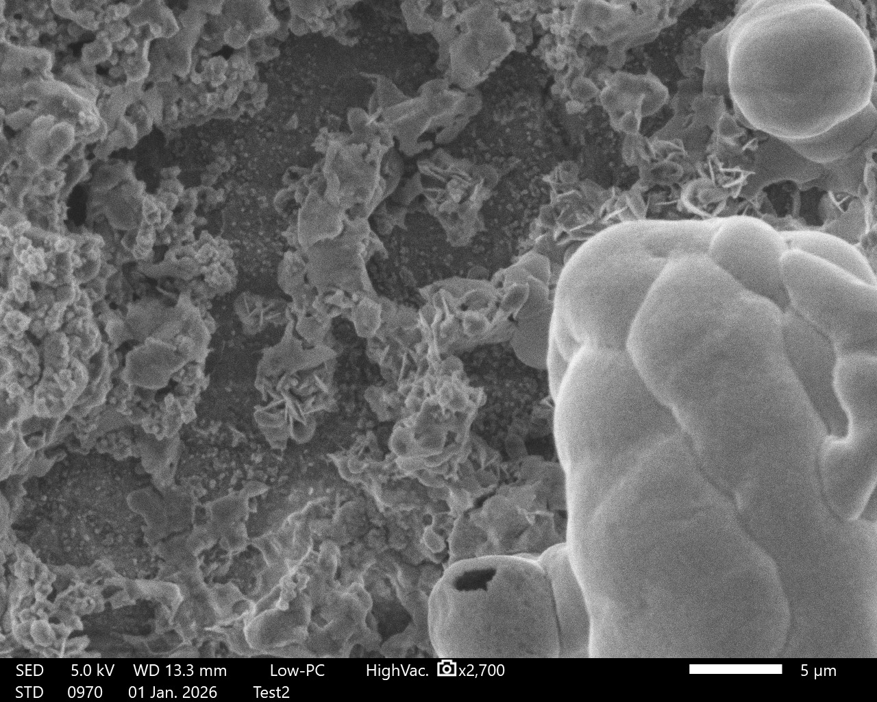 From Slime to Stone: The Engineered Architecture of Biofilms