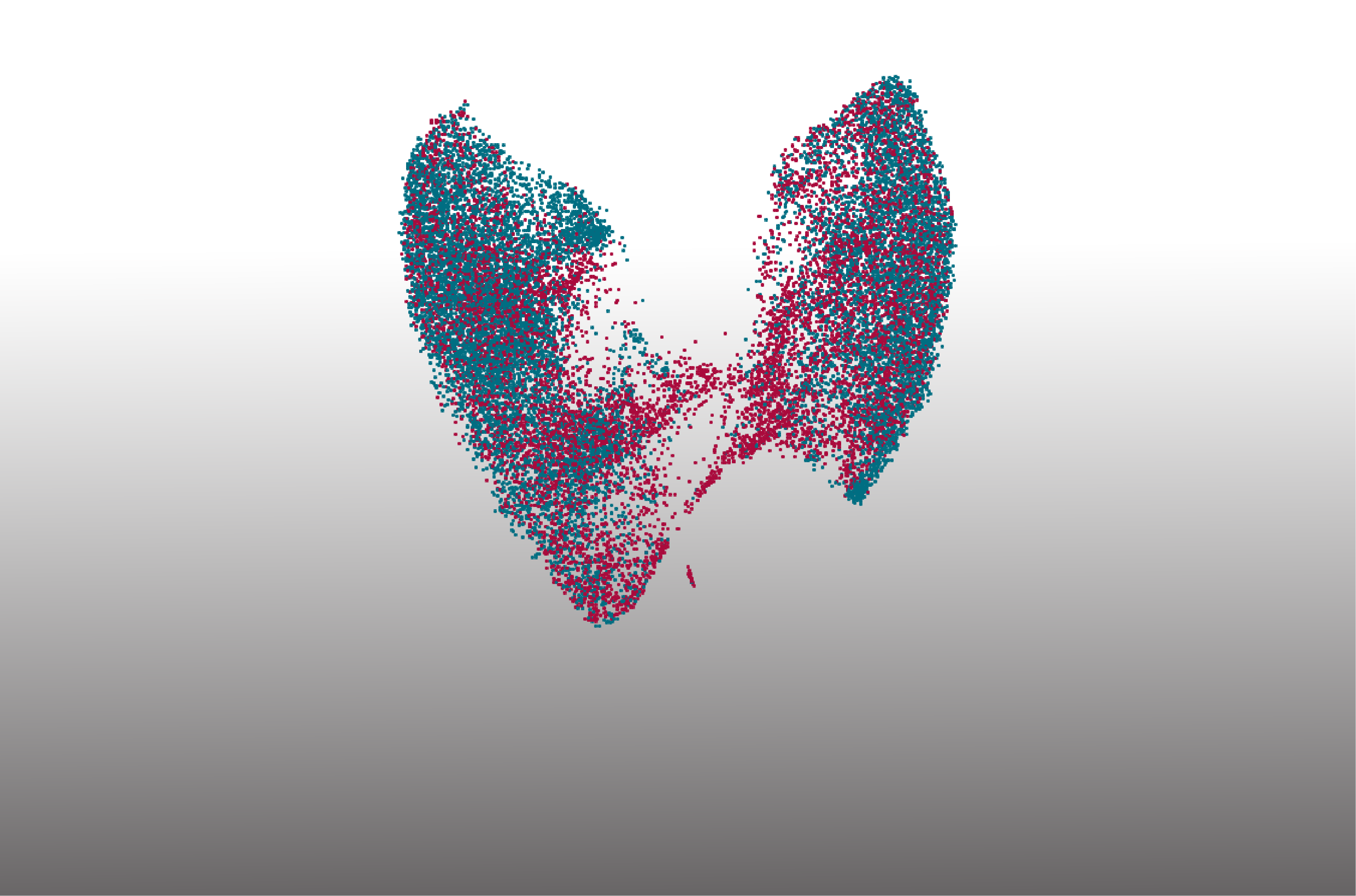 Dissecting tissue response in COVID-19 - how science moved the pandemic and vice versa