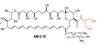 An antifungal and its malcontents: Taming ‘ampho-terrible’