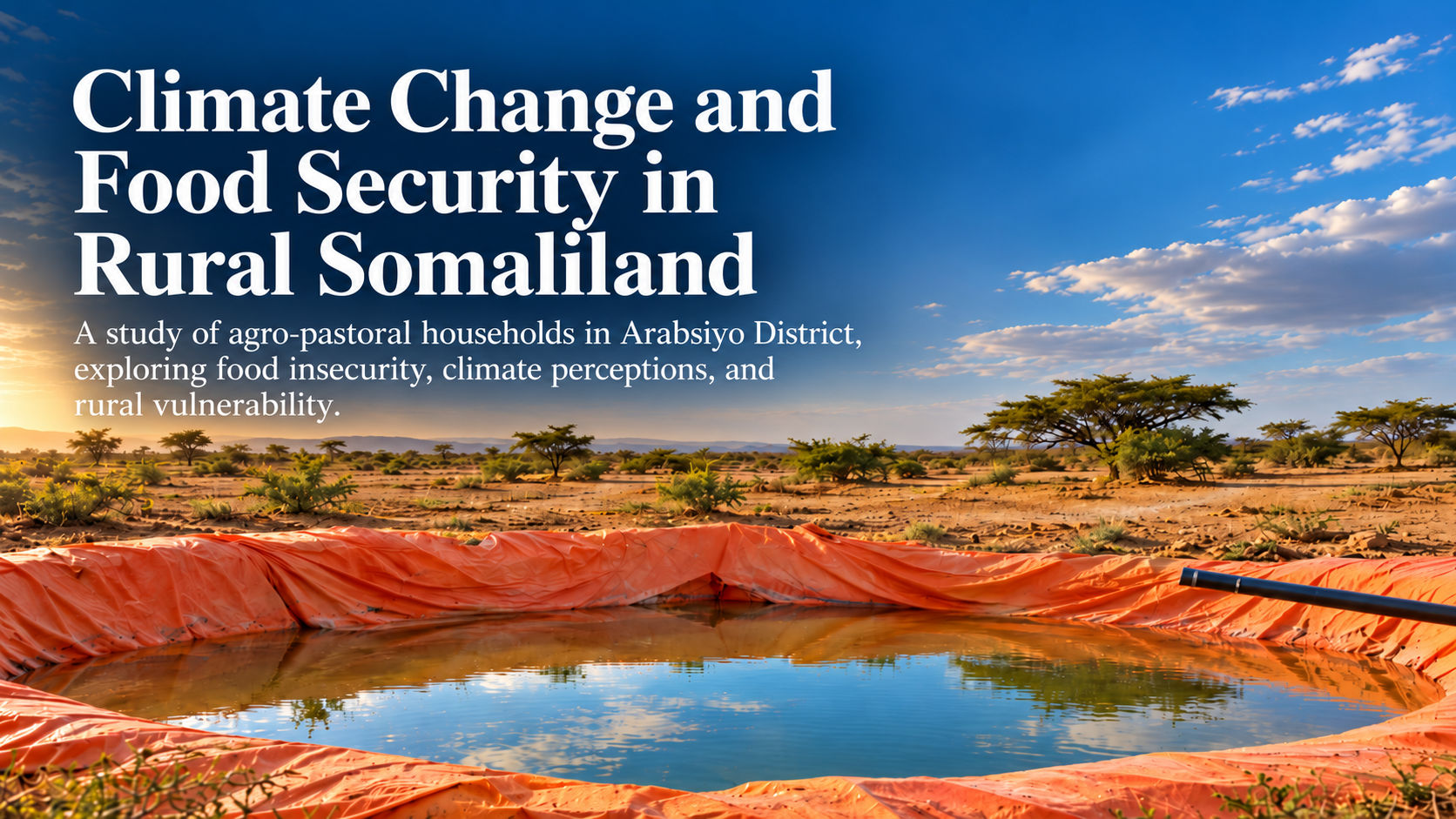 Household Socio-Demographics, Climate Change Perceptions, and Food Security in Agro-Pastoral Somaliland: Evidence from Rural Arabsiyo District