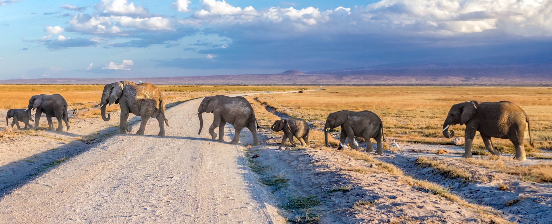 6 Steps towards effective Conservation Leadership
