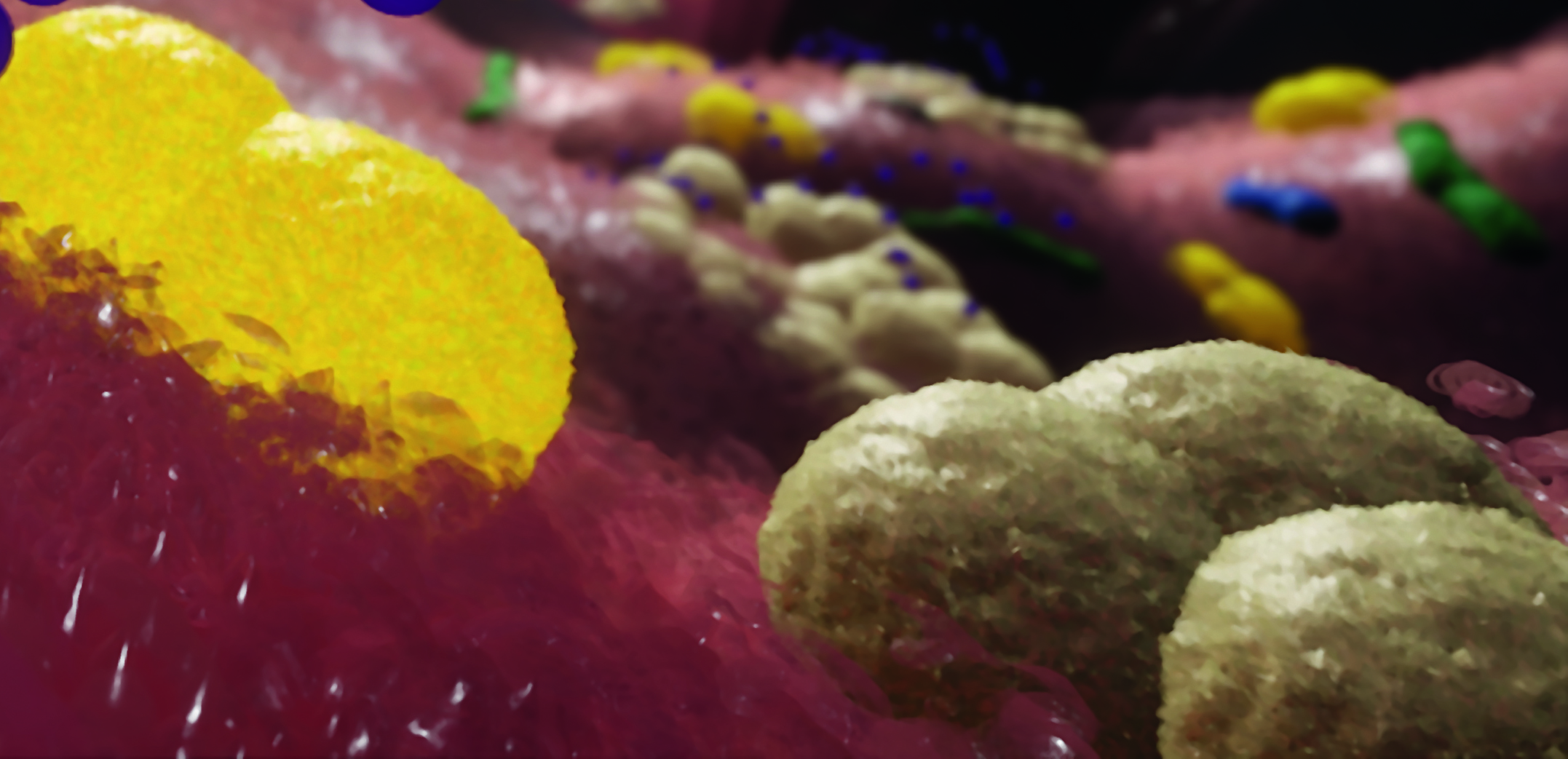 How emerging Staphylococcus epidermidis clones learned from Staphylococcus aureus how to be a pathogen 