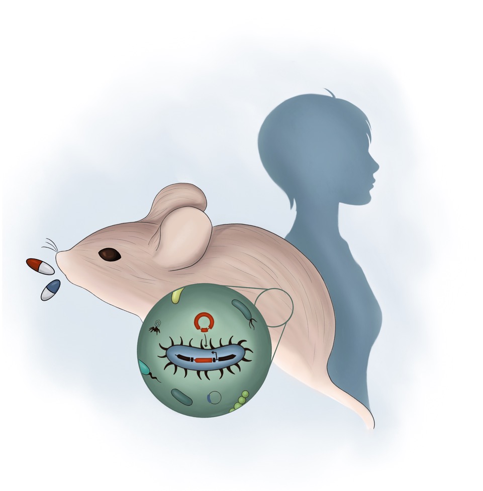 Antimicrobial resistance - a tale of silence and lessons