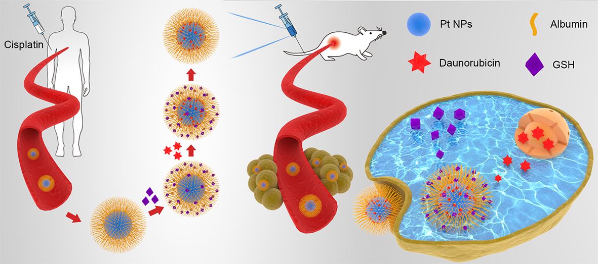 Blood-triggered generation of platinum nanoparticle functions as an anti-cancer agent