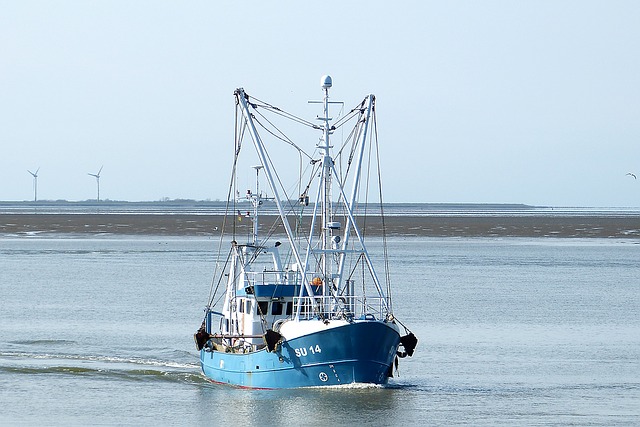 Action required to conserve seagrasses to support European fisheries