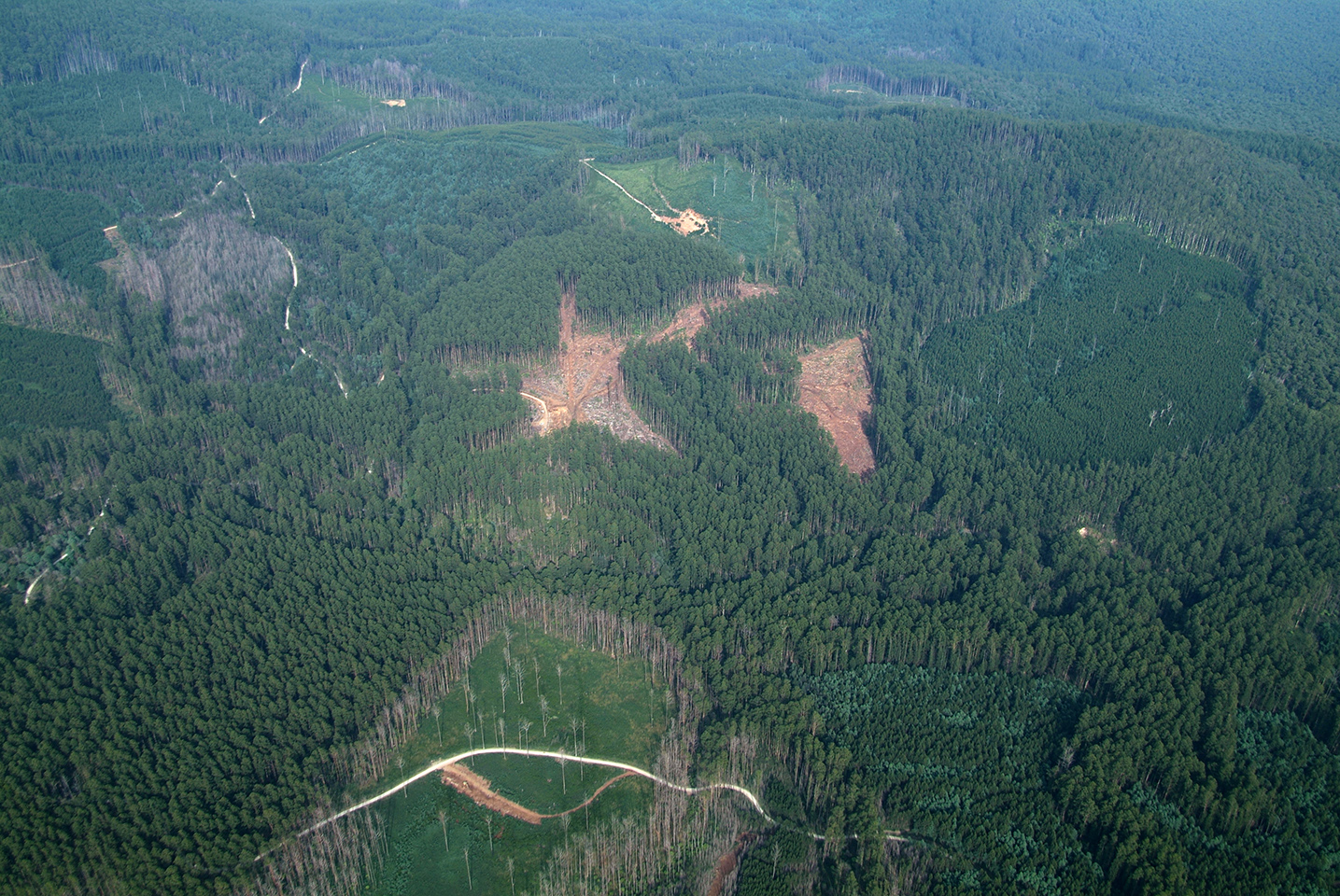 Ecosystem accounts define explicit and spatial trade-offs for managing natural resources