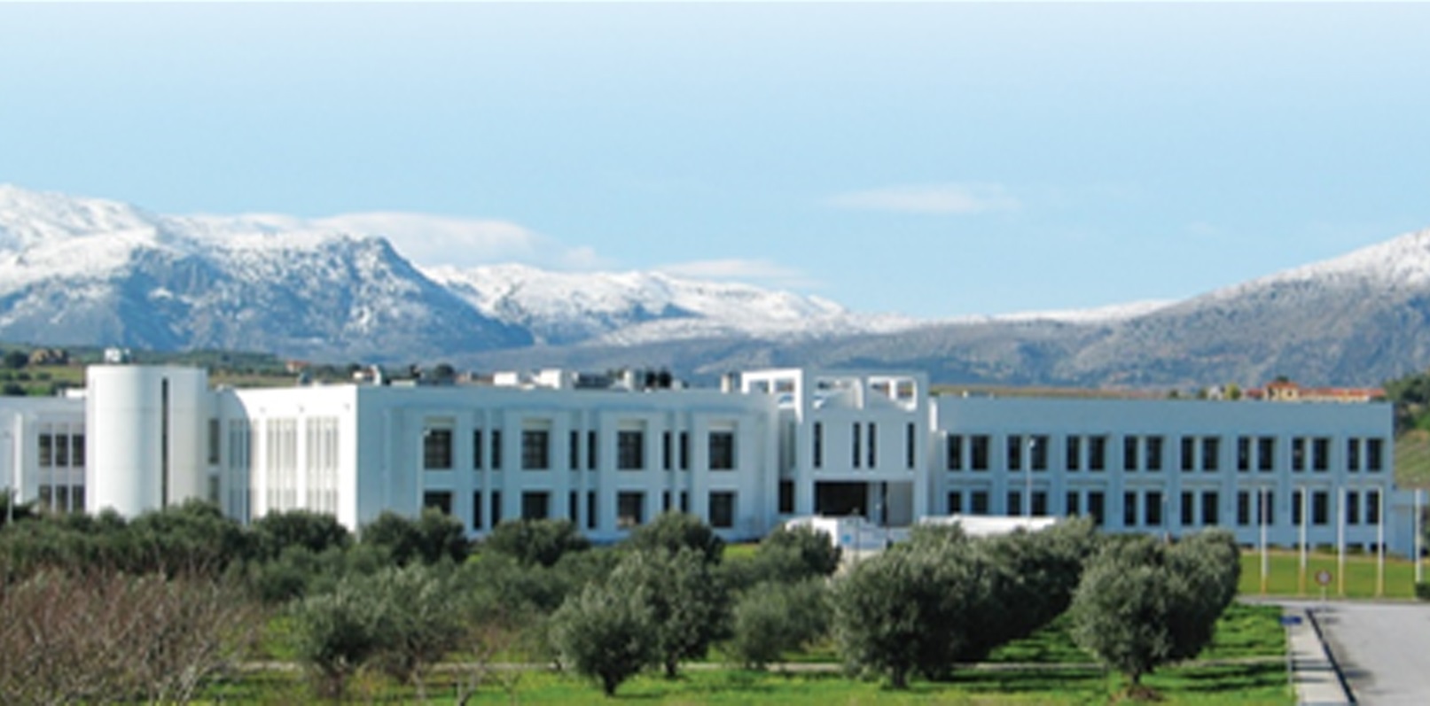 Visions: Iannis Talianidis, Director of IMBB-FORTH, Greece