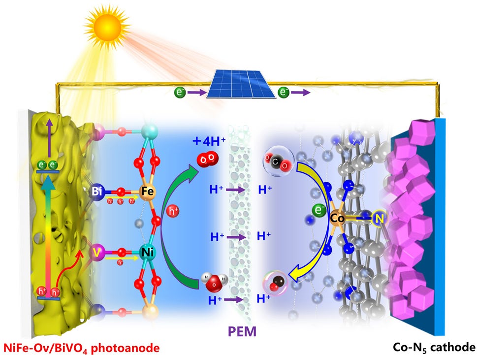 Highly Active Oxygen Evolution Integrating with Highly Selective CO2‑to‑CO Reduction