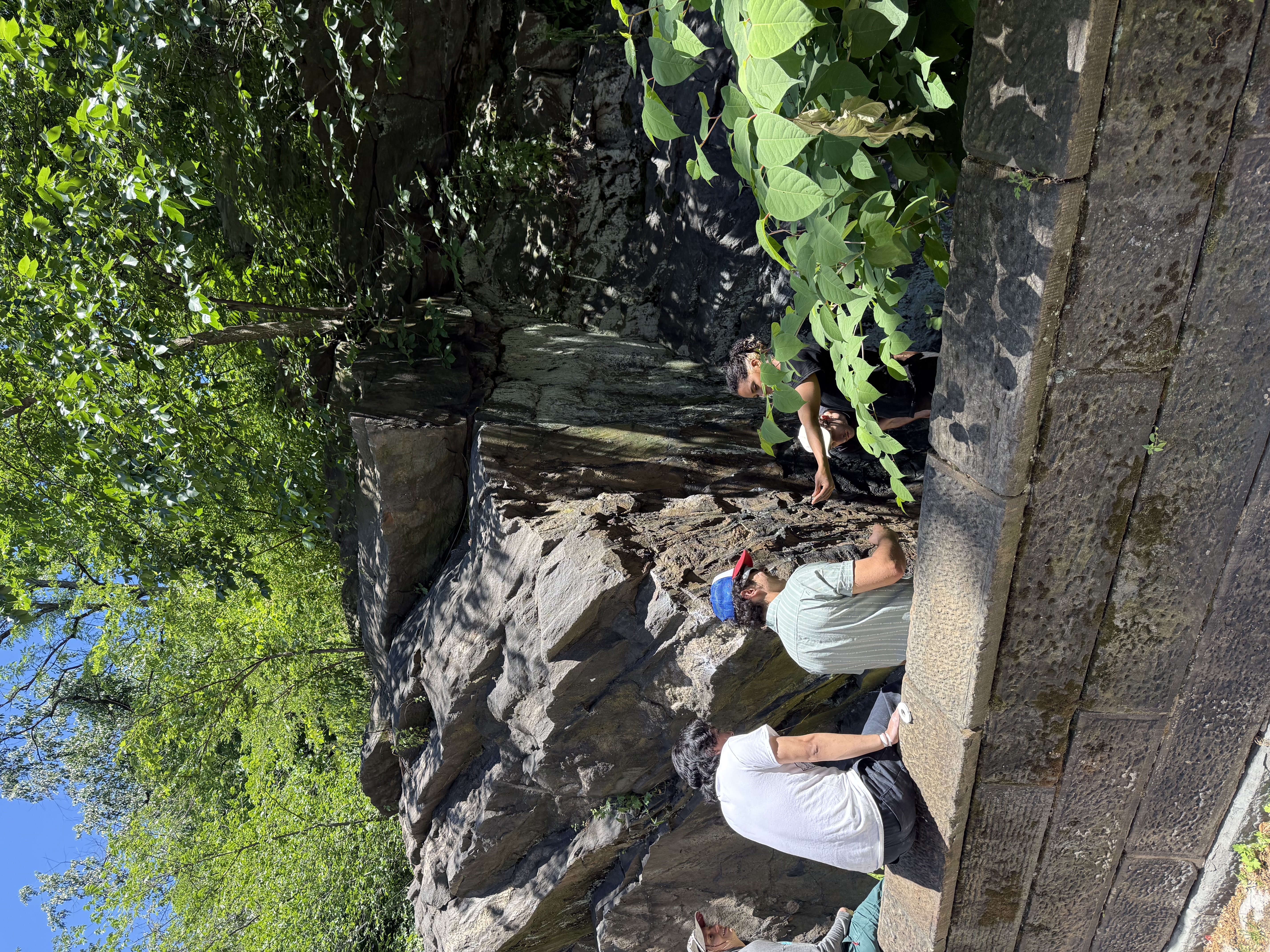 Field Journal: Entry 2