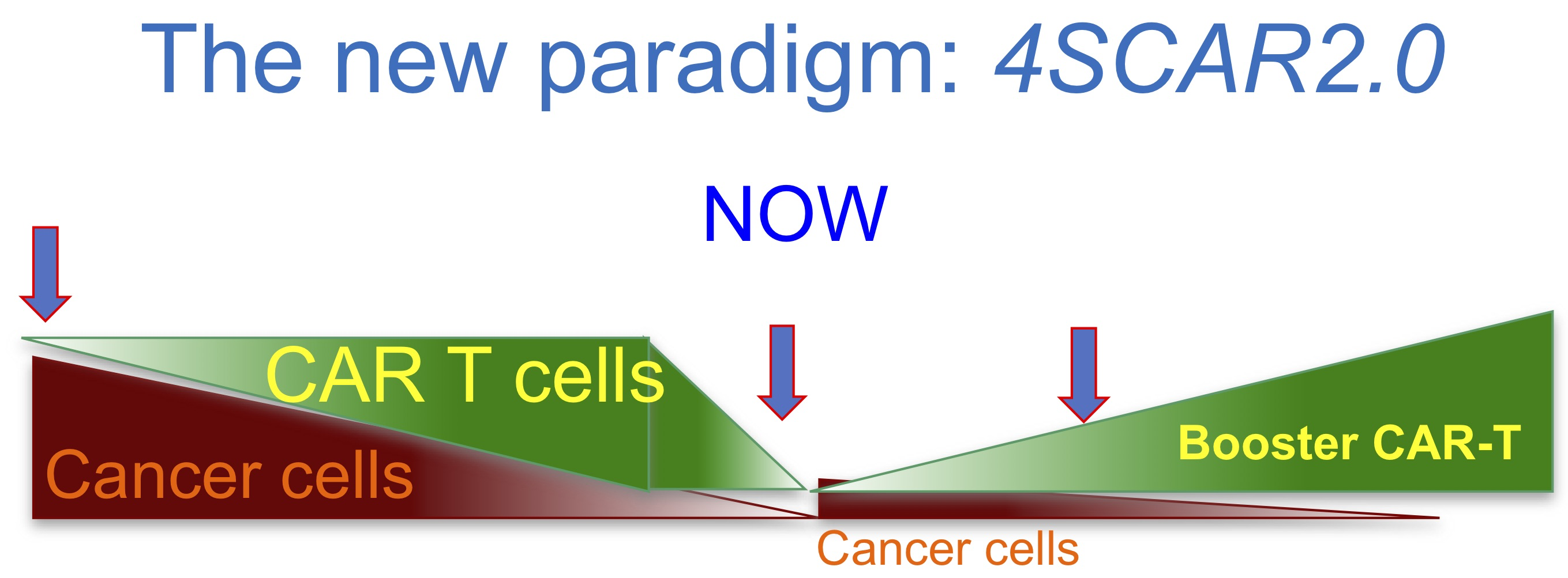 A new CAR-T therapy paradigm for treating B cell lymphomas 