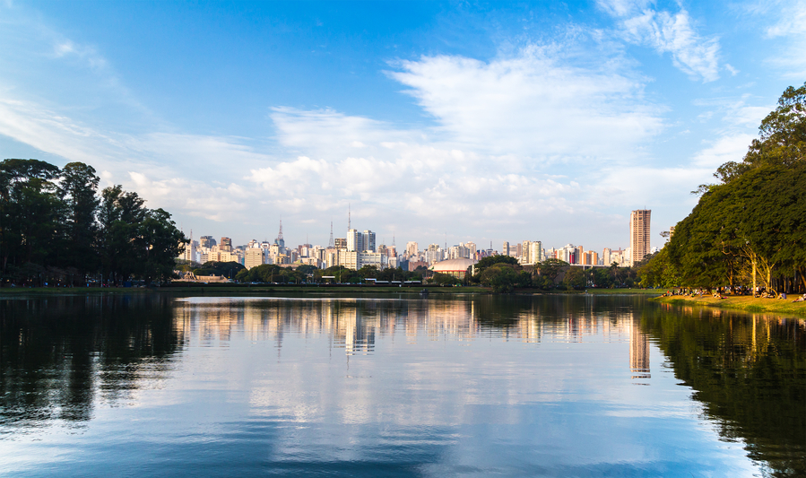 Summary:  Third Chapter Meeting in Brazil