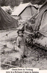 Tents of Learning, Shadows of Silence - LiA Week 4