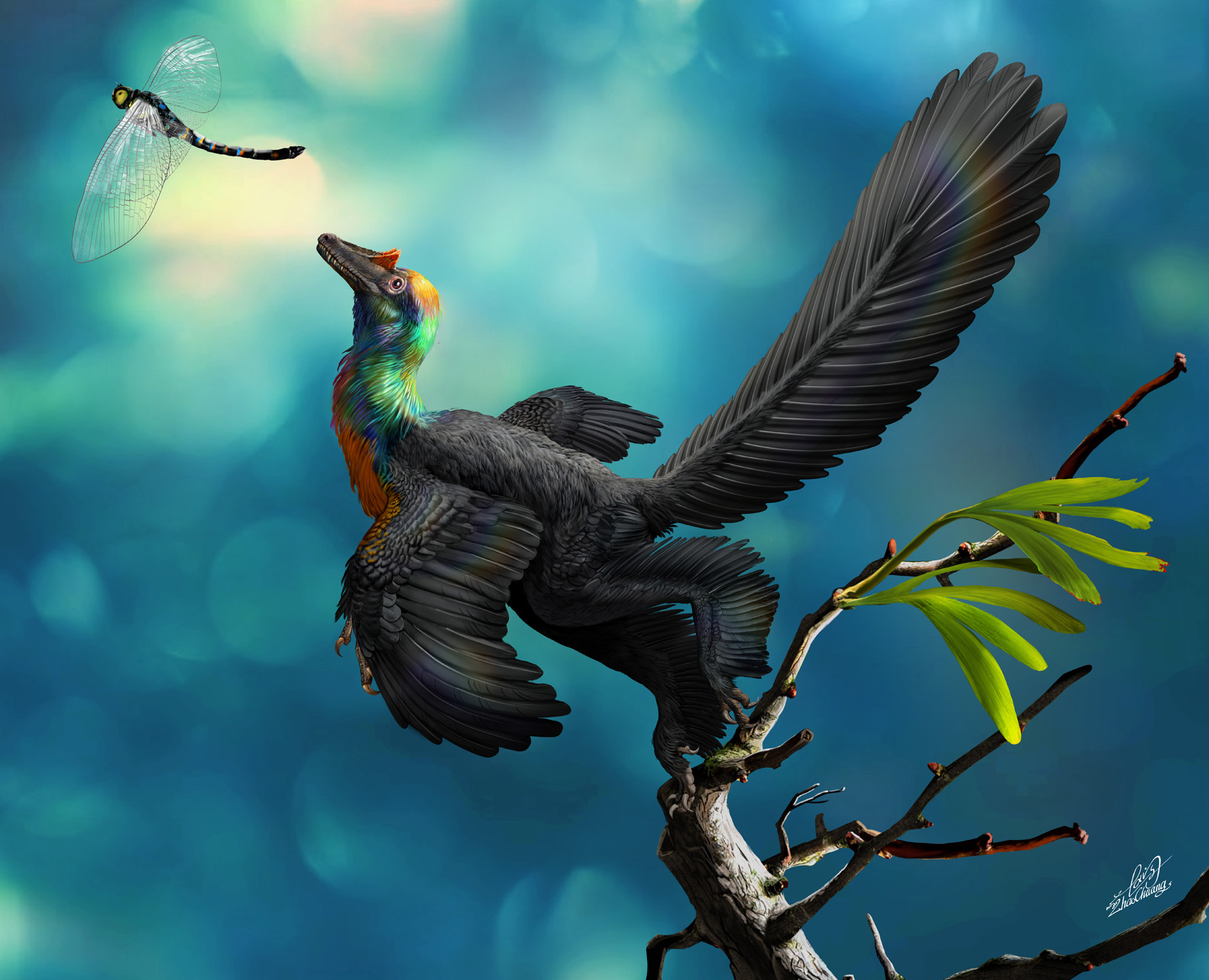 A bizarre dinosaur informs feather evolution