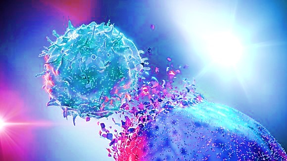 Bioengineering innate immune cells