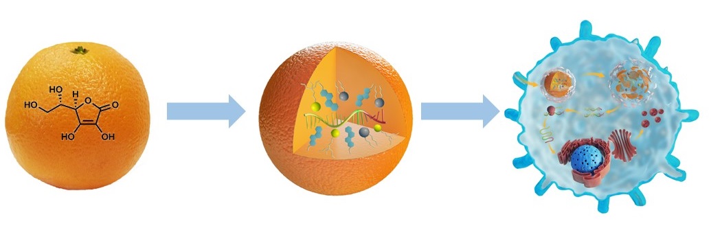 Nature inspired biomaterials enable adoptive macrophage therapy of sepsis