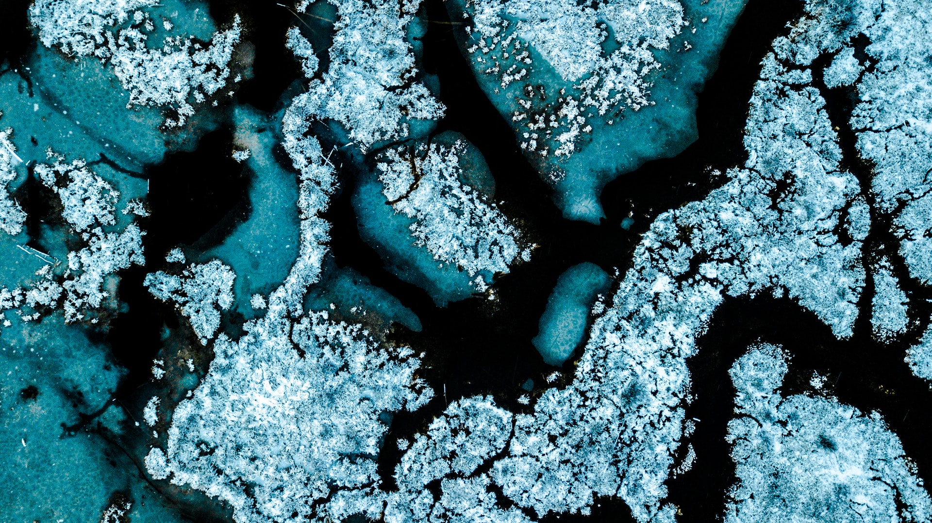 Journal Club: Formation of wall-deficient cells in Actinomycetes