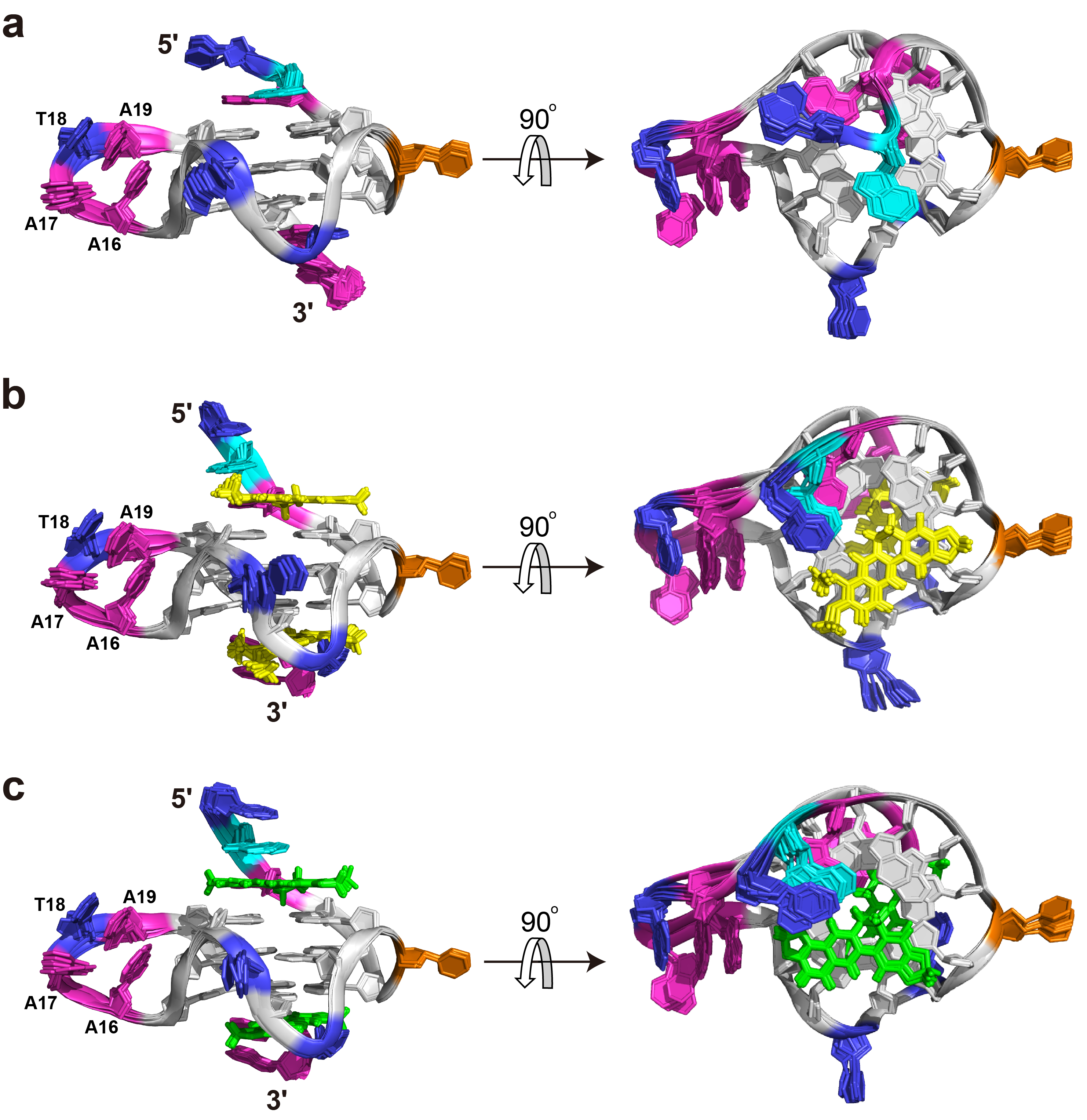 Targeting KRAS promoter G-quadruplex for KRAS oncogene repression: Structural basis of small molecule recognition of KRAS G-quadruplex