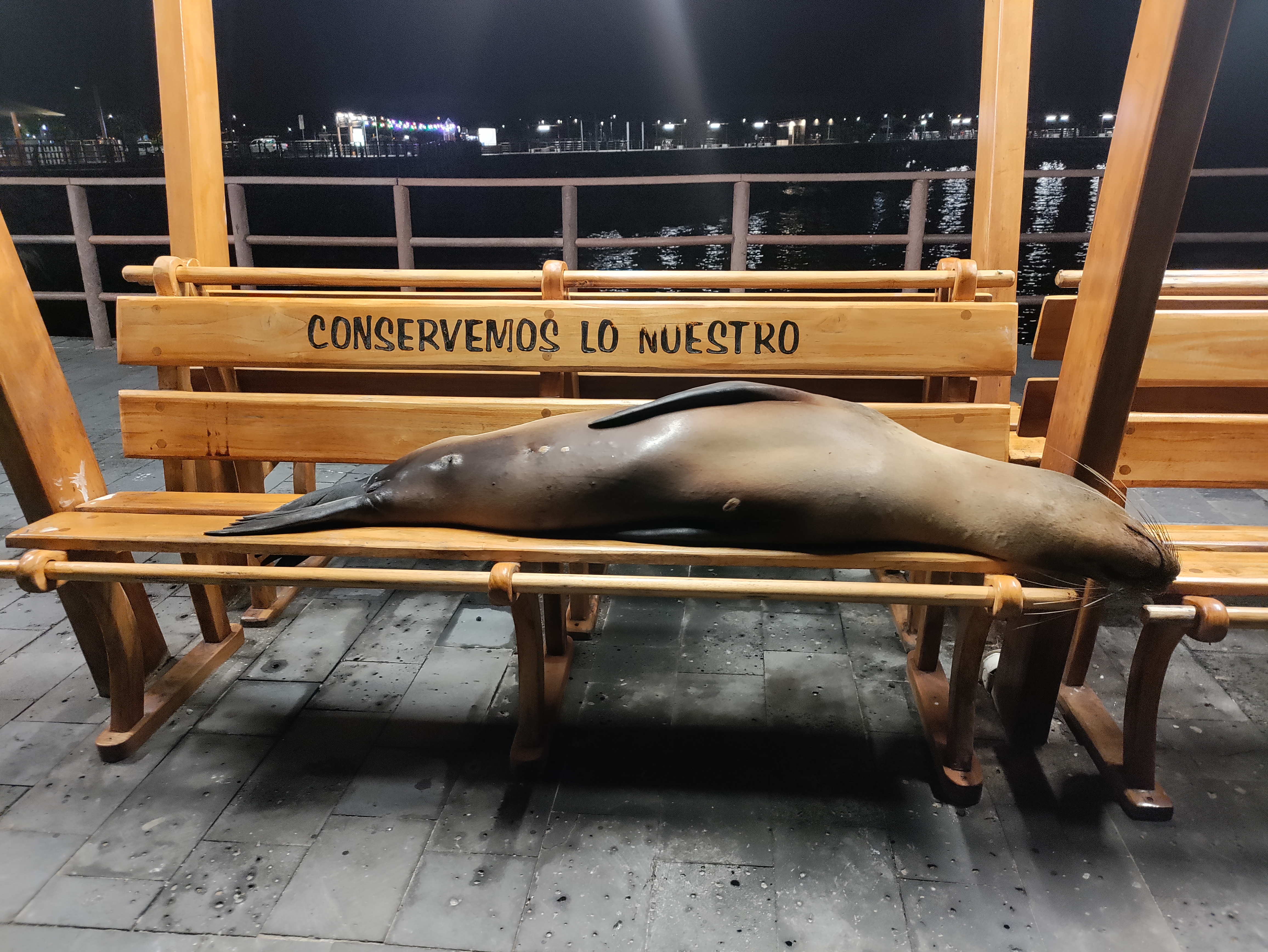 Yanna, behaviour centered research & design