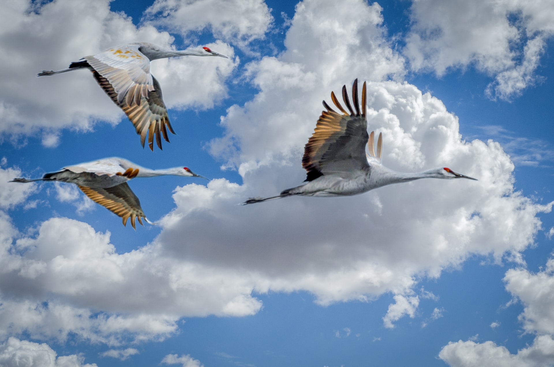 The crucial importance of foreign research experience for early-career researchers