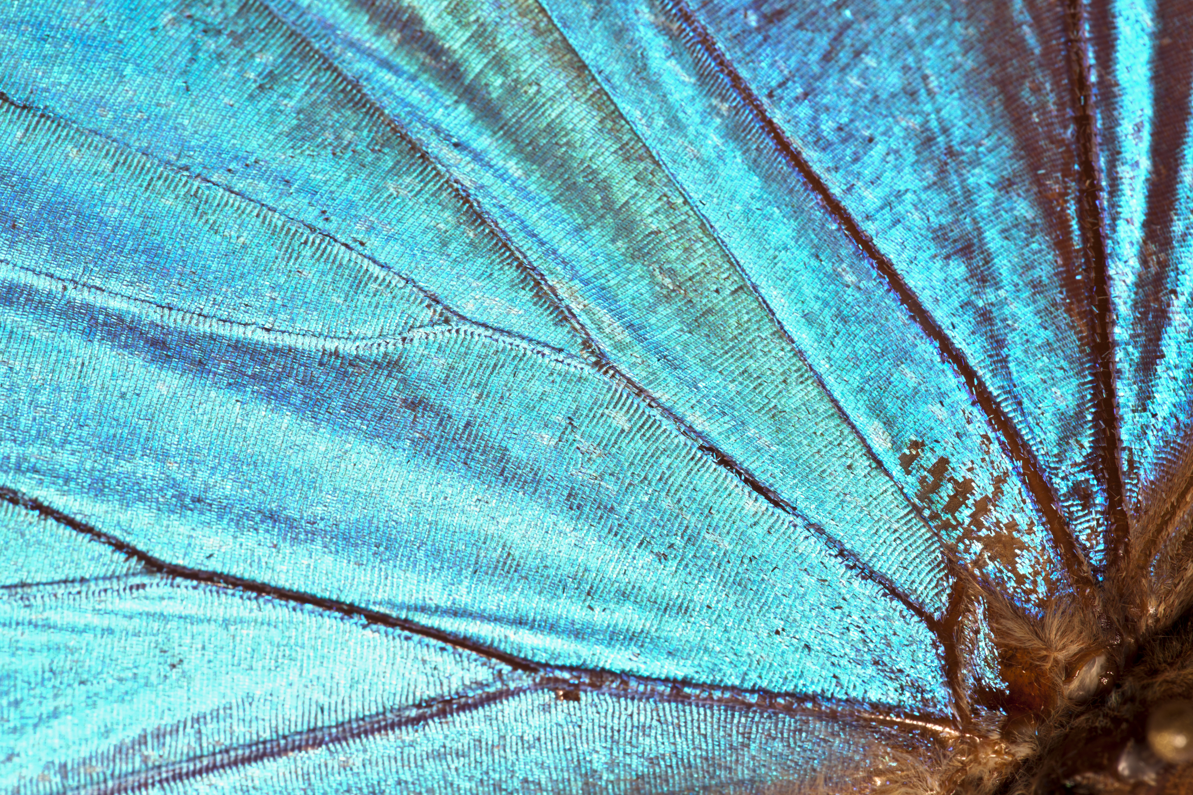 BMC’s “Research in Progress” photo competition now open for submissions