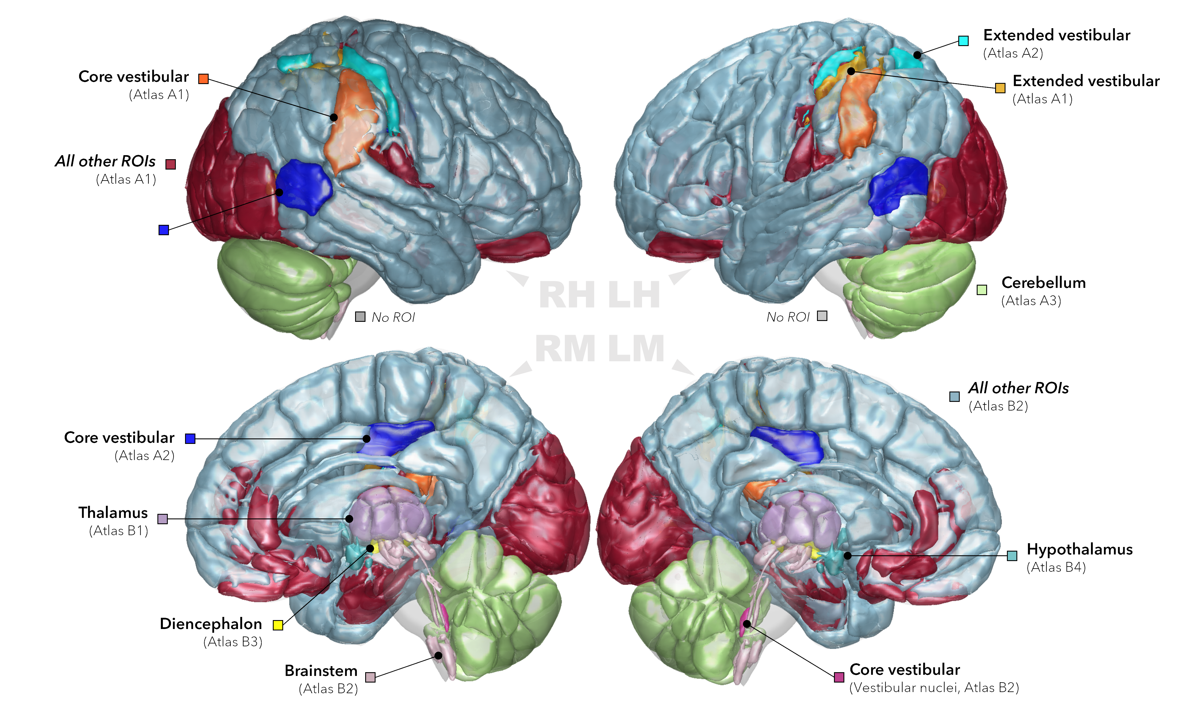 EAGLE449: An atlas compilation for imaging research on central vestibular mechanisms