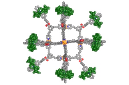 A Molecular Capsule Decorated with Rotaxanes