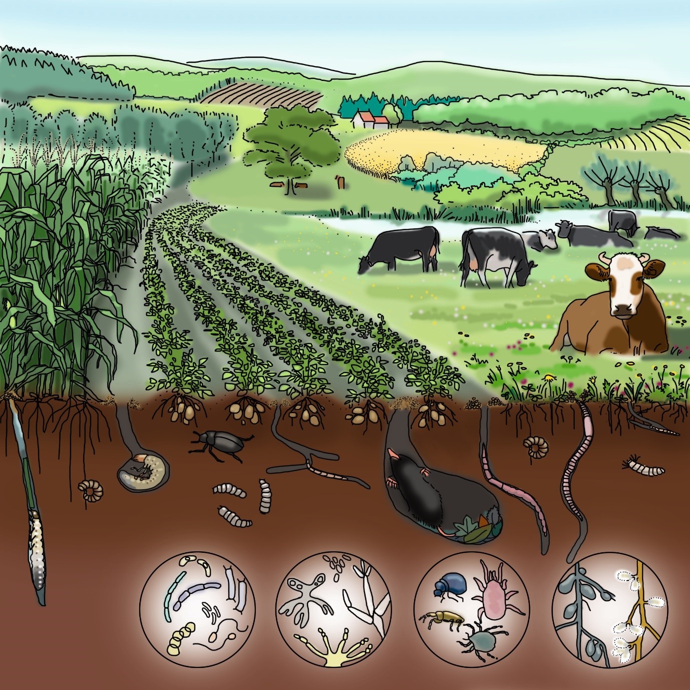 The dark side of nature and the bright side of life