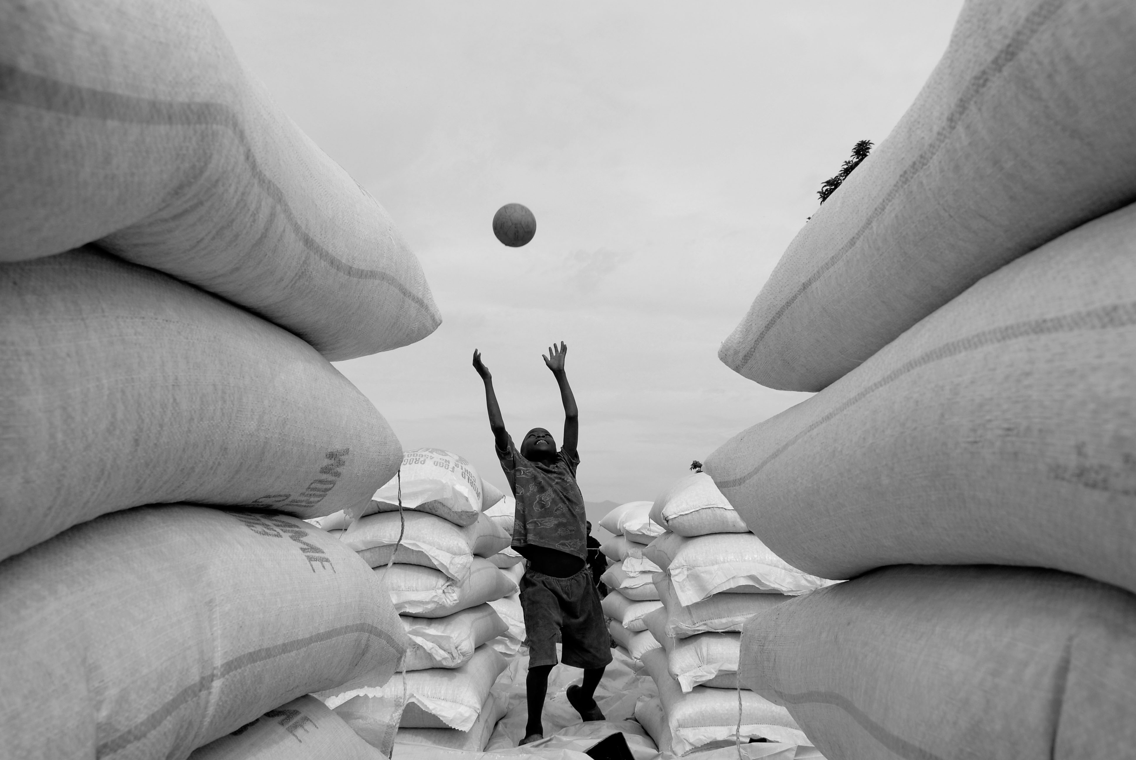 The Golgi Special Issue