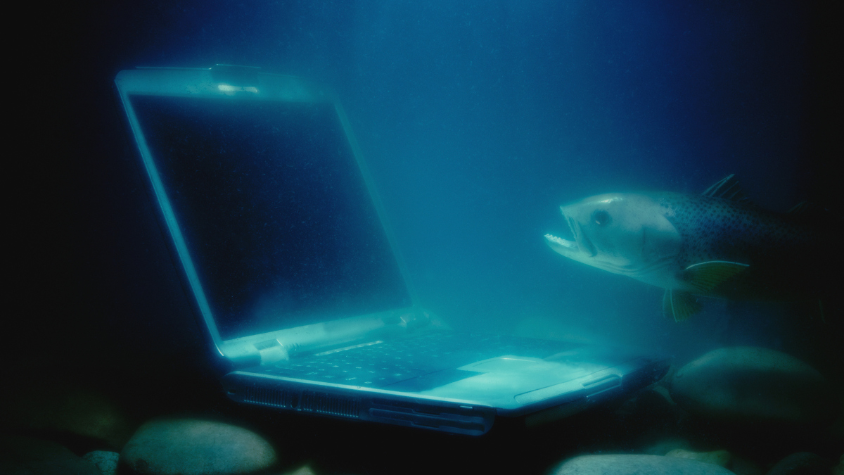 Call for papers: Underwater and underground wireless sensor networks