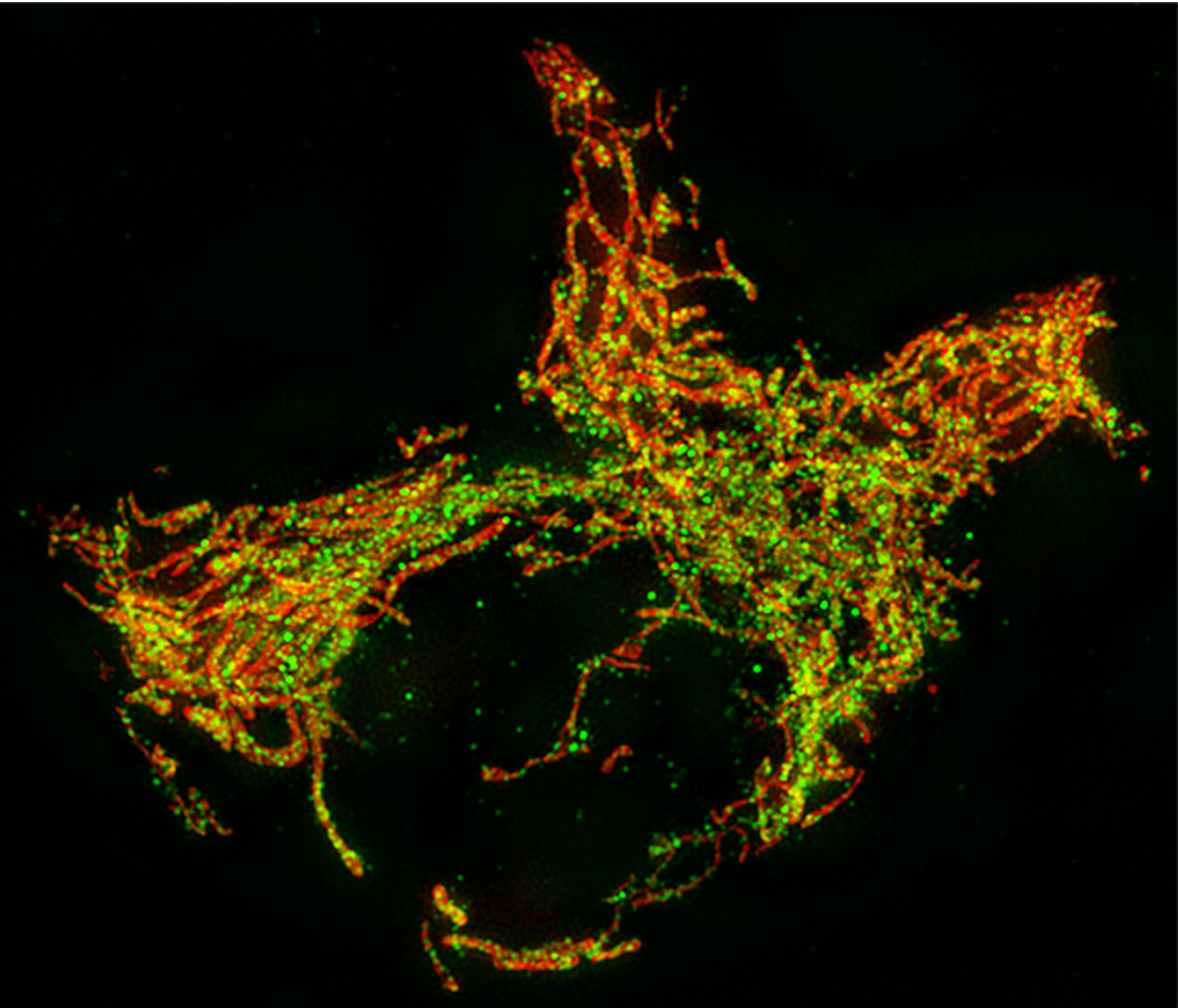 Highlights from FEBS Letters - March