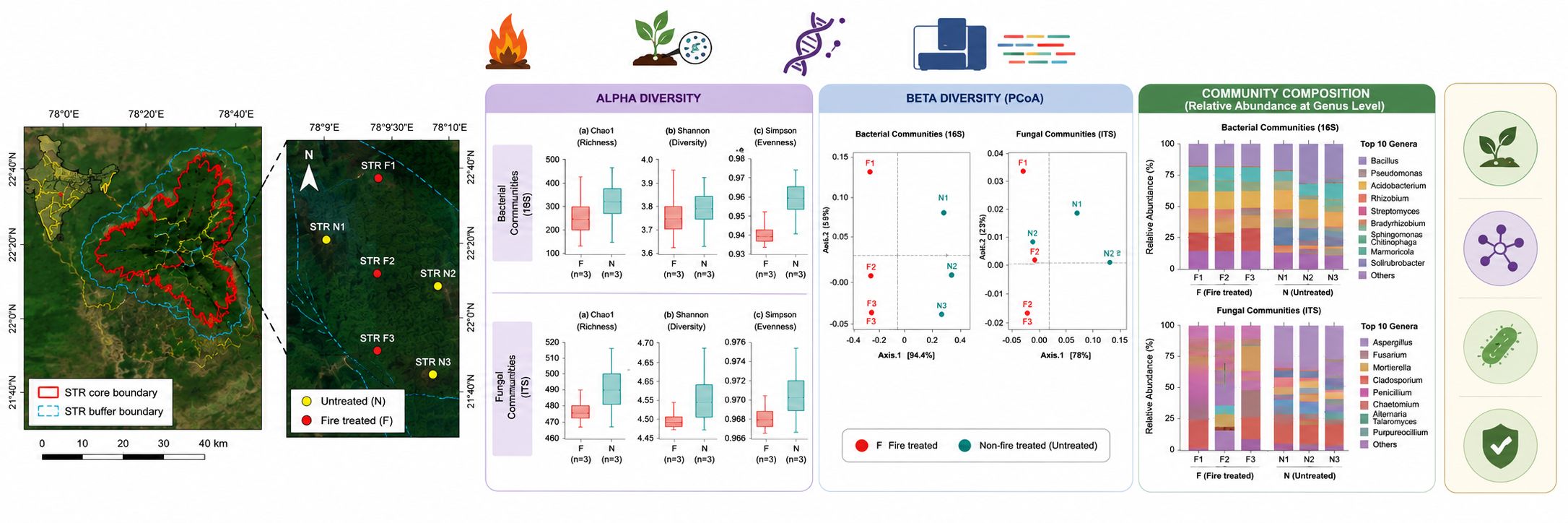 Research Reveals Prescribed Forest Fires Have Minimal Impact on Soil Microbial Health
